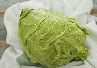 圓白菜是包菜嗎？圓白菜是大頭菜嗎？