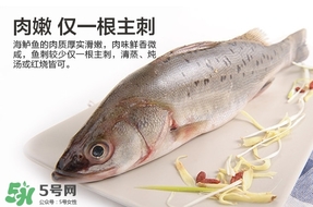 鱸魚是海鮮嗎？鱸魚是不是海鮮？