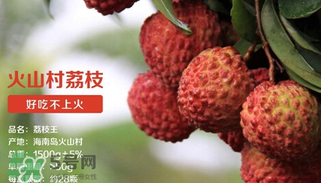 荔枝王是什么品種？荔枝王多少錢一斤2017？