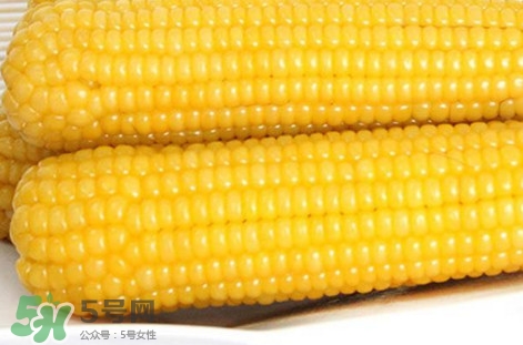 糯玉米是轉基因嗎？糯玉米是不是轉基因