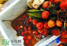 荔枝為什么要用藥水泡？荔枝藥水浸泡是否安全？
