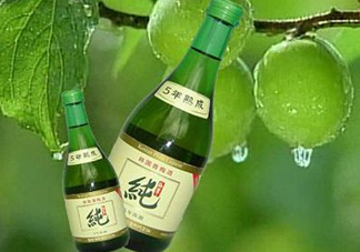 青梅酒泡多久可以喝？青梅酒好喝嗎？