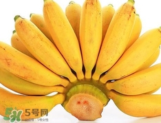 皇帝蕉是芭蕉嗎？皇帝蕉和芭蕉的區別