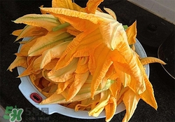 南瓜花有什么作用？南瓜花的作用及禁忌