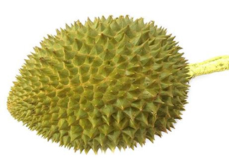 托曼尼榴蓮多少錢？托曼尼榴蓮是哪里的？