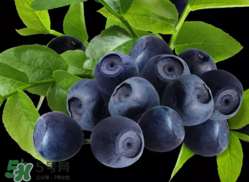 新鮮藍莓可以直接吃嗎？新鮮藍莓怎么吃才好吃？