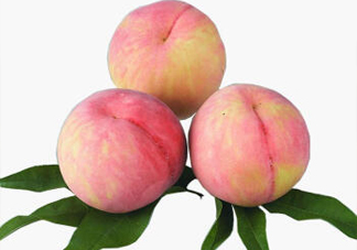 脆桃有什么營(yíng)養(yǎng)？脆桃的營(yíng)養(yǎng)價(jià)值