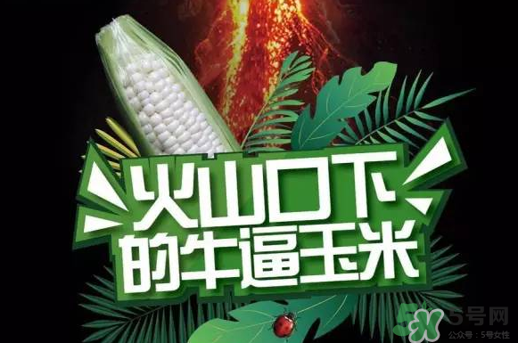 微玉冰糖玉米小孩可以吃嗎？微玉冰糖玉米營養(yǎng)豐富嗎？