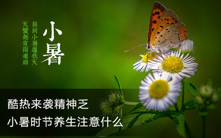 小暑怎么養生 小暑要吃什么