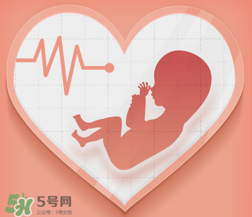 胎心儀可以天天用嗎？胎心儀的使用頻率