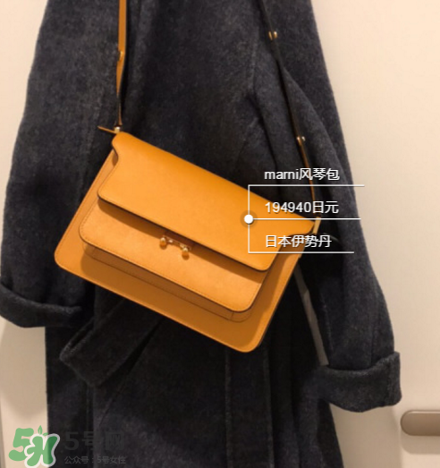 marni風琴包尺寸多大？marni風琴包尺寸有幾種？