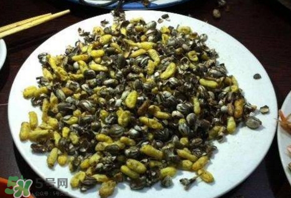 洋辣子是什么？洋辣子能吃嗎？