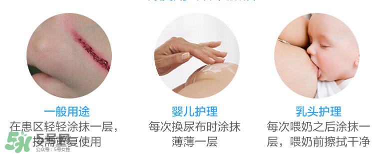 拜耳護臀膏有激素嗎？拜耳護臀膏含不含激素？