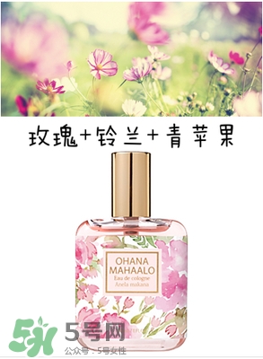 ohana mahaalo香水是什么牌子？ohana mahaalo在哪買？