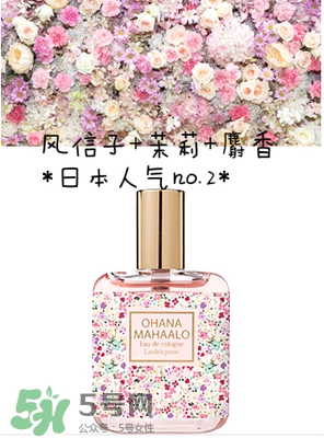 ohana mahaalo香水是什么牌子？ohana mahaalo在哪買？
