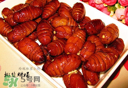 蟬蛹可以保存多長時間？蟬蛹冰凍起來能保存多久