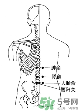 三伏灸可以治腰腿痛嗎？三伏灸治腰腿痛灸哪里》
