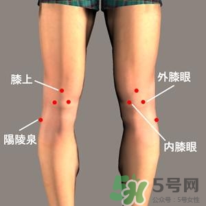 三伏灸可以治腰腿痛嗎？三伏灸治腰腿痛灸哪里》