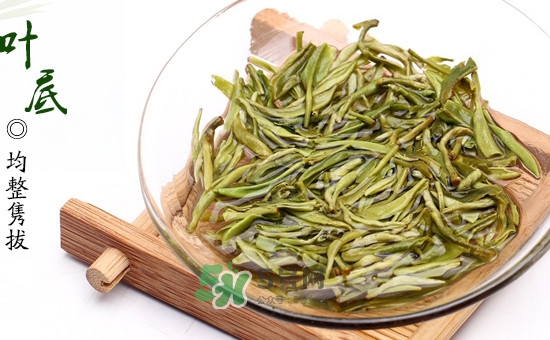 碧螺春泡出的茶是什么顏色？泡碧螺春水溫多少度最好