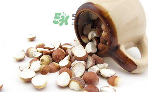 三伏天可以補腎嗎？三伏天可以進補嗎？