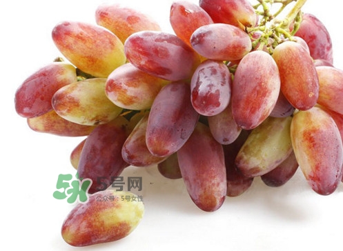 金手指葡萄是不是轉基因品種？美人指與金手指葡萄的區別