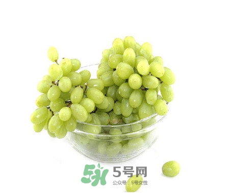 馬奶葡萄是提子嗎？馬奶葡萄怎么洗？