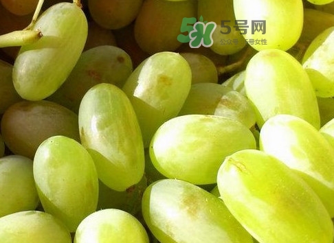 馬奶葡萄是提子嗎？馬奶葡萄怎么洗？