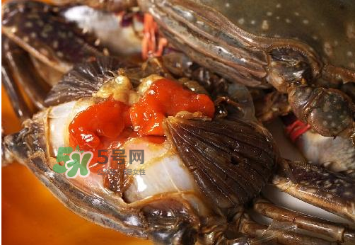 梭子蟹有蟹黃嗎？梭子蟹蟹黃在哪里？