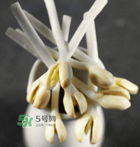 花生芽炒菜吃可以嗎？花生芽能吃嗎