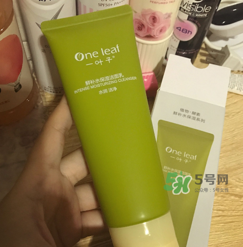 一葉子鮮補水洗面奶怎么樣？一葉子鮮補水潔面乳好用嗎？