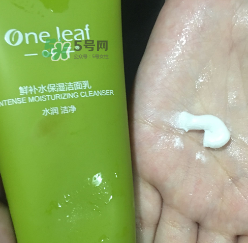 一葉子鮮補水洗面奶怎么樣？一葉子鮮補水潔面乳好用嗎？