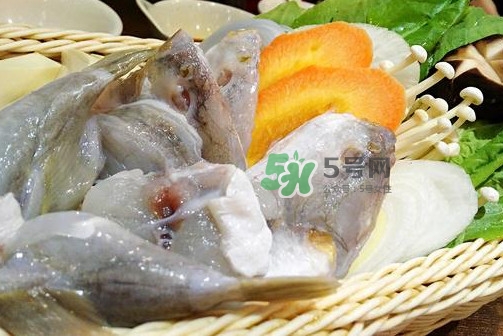 河豚可以當寵物養(yǎng)嗎？河豚可以用淡水養(yǎng)嗎