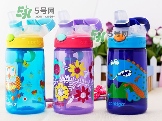 contigo水杯怎么樣？contigo水杯是什么材質？