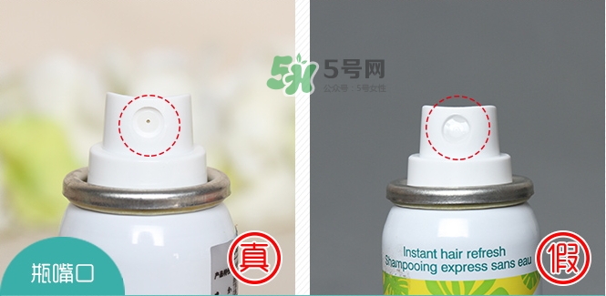 batiste碧緹絲免水洗發噴霧真假辨別對比圖