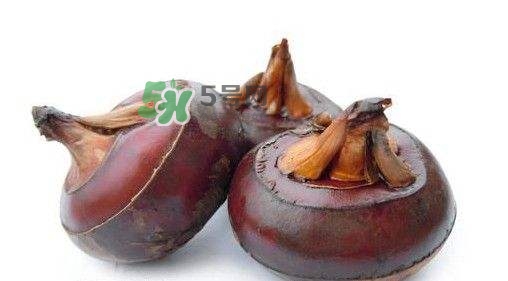 吃荸薺有什么好處？吃荸薺的禁忌
