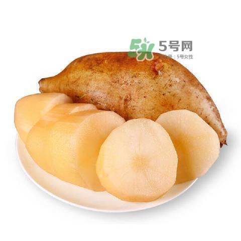 雪蓮果怎么挑？雪蓮果怎么儲存方法？