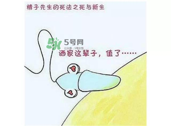 殺精的食物有哪些？吃什么東西殺精？
