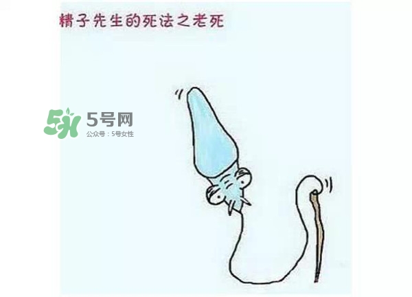 殺精的食物有哪些？吃什么東西殺精？