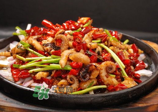 八爪魚煮多久才好？八爪魚需要煮多久？