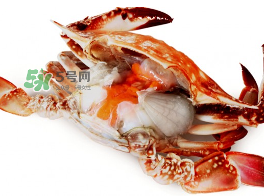 吃梭子蟹會胖嗎？梭子蟹吃了會胖嗎？ 