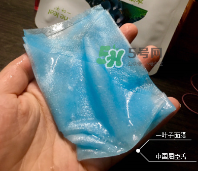 一葉子山茶花補水面膜怎么樣？一葉子山茶花面膜好嗎？