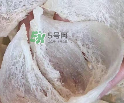 燕窩里面含有激素嗎？燕窩兒童吃了會不會性早熟？