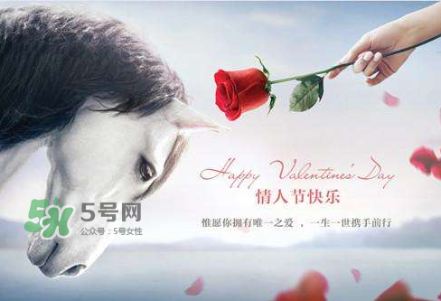 roseonly怎么樣？roseonly好看嗎？