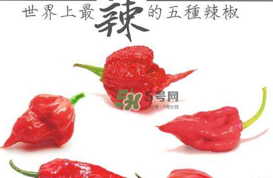 卡羅萊納死神辣椒中國(guó)有嗎？死神辣椒哪里有賣