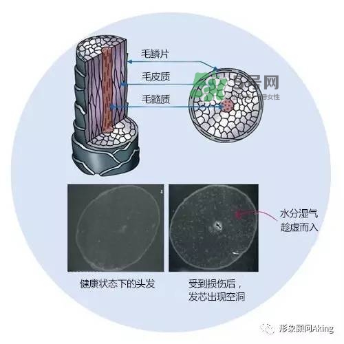 無硅油洗發水為什么貴 無硅油洗發水真的好嗎