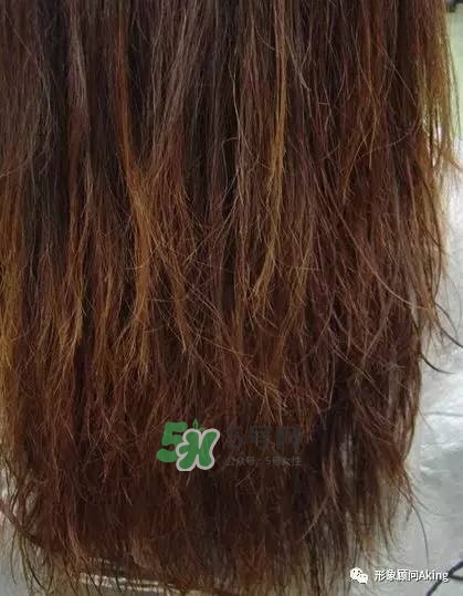 無硅油洗發水為什么貴 無硅油洗發水真的好嗎