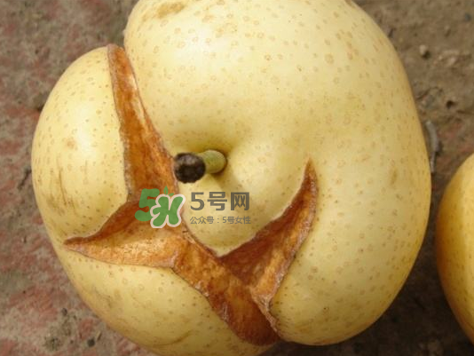 皇冠梨雞爪病能吃嗎？皇冠梨雞爪病怎么辦？