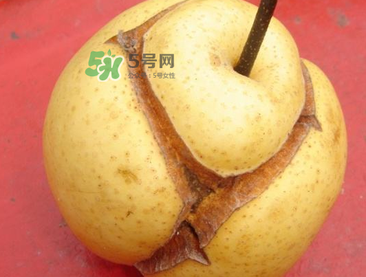 皇冠梨雞爪病能吃嗎？皇冠梨雞爪病怎么辦？