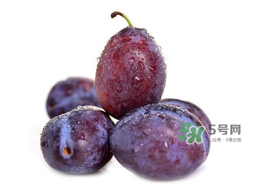 西梅怎么挑選？新鮮西梅怎么保存
