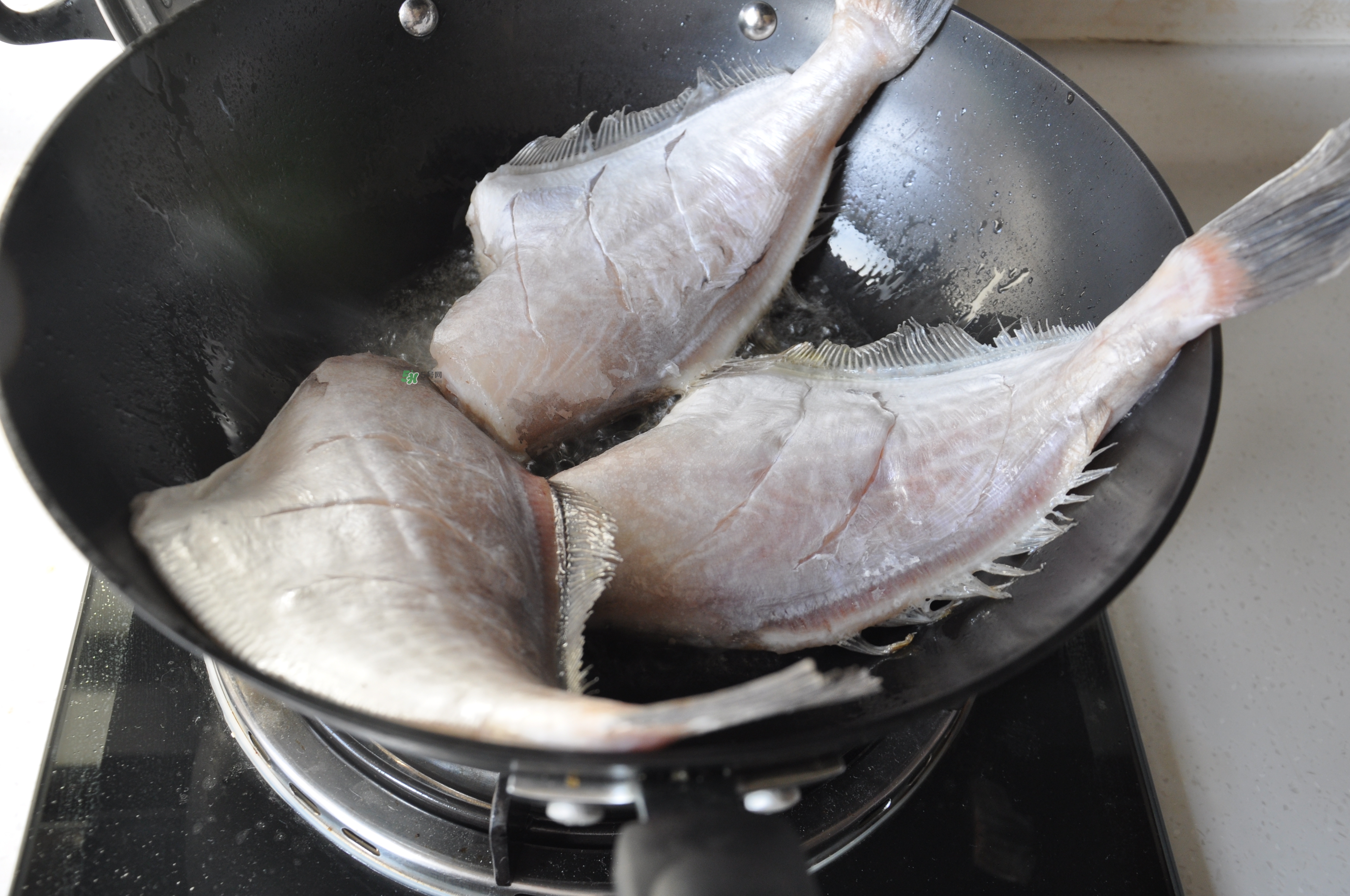 剝皮魚孕婦可以吃嗎？懷孕可以吃剝皮魚嗎？